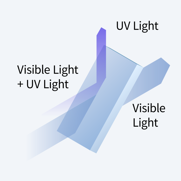 UV Filter