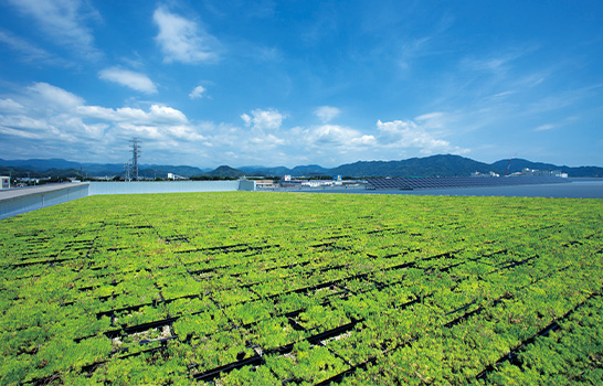 屋上緑化